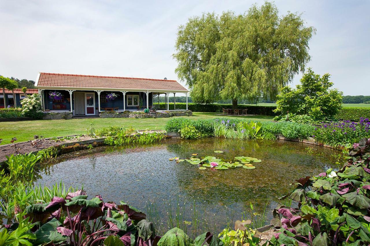 Inge'S Cottage Bergen op Zoom Dış mekan fotoğraf